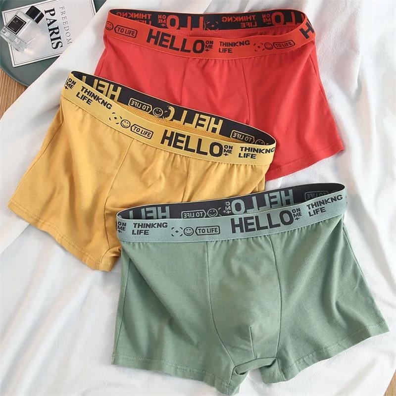 10 Pezzi/ Set di Intimo Maschi - Boxer Brief Pack Cotton recensione e prezzo