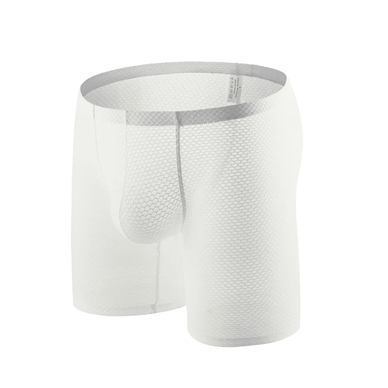 Intimo da uomo Gay See Through - Long Leg Trunk Men recensione e prezzo