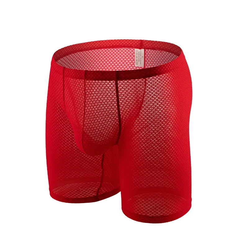 Intimo da uomo Gay See Through - Long Leg Trunk Men recensione e prezzo