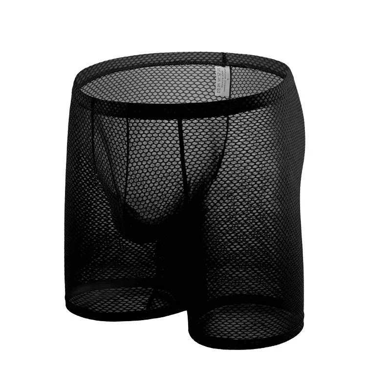 Intimo da uomo Gay See Through - Long Leg Trunk Men recensione e prezzo