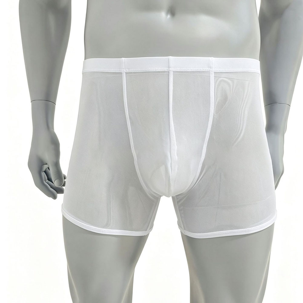 Boxer da Uomo in Rete Traspare - Long Leg Trunk Men recensione e prezzo