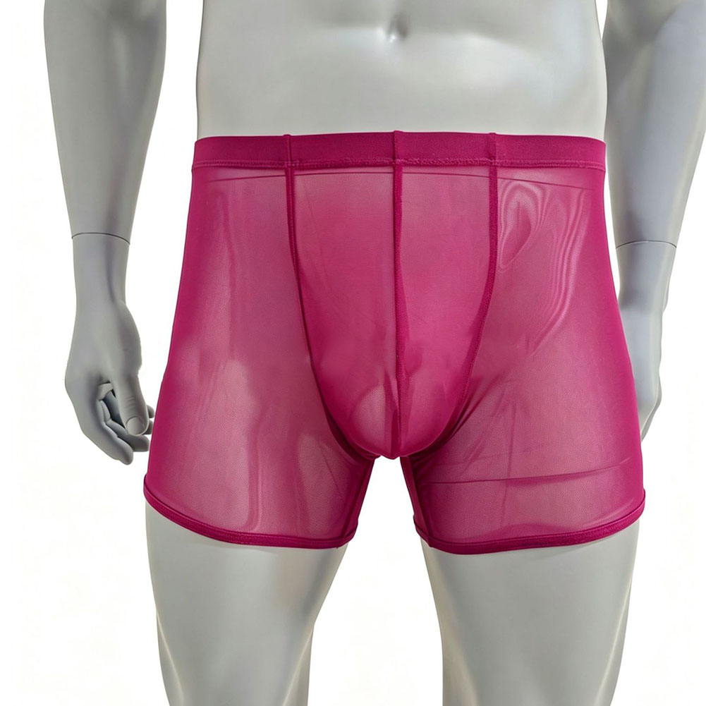 Boxer da Uomo in Rete Traspare - Long Leg Trunk Men recensione e prezzo