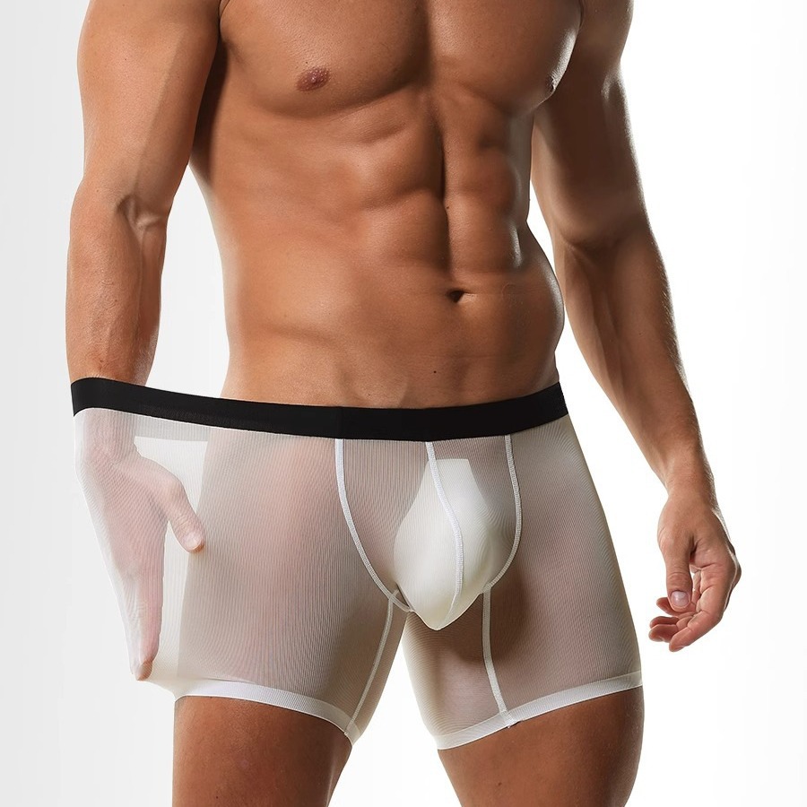 Boxer Lunghi in Seta Ghiaccio  - Long Leg Trunk Men recensione e prezzo